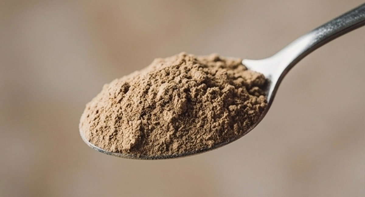 Coarse traditional-grind kava powder on a spoon