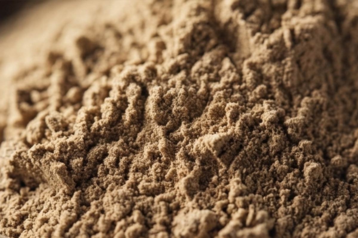 Close-up of fine instant kava powder